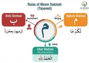 Mastering the Rules of Meem Sakinah: A Comprehensive Guide with Practical Examples