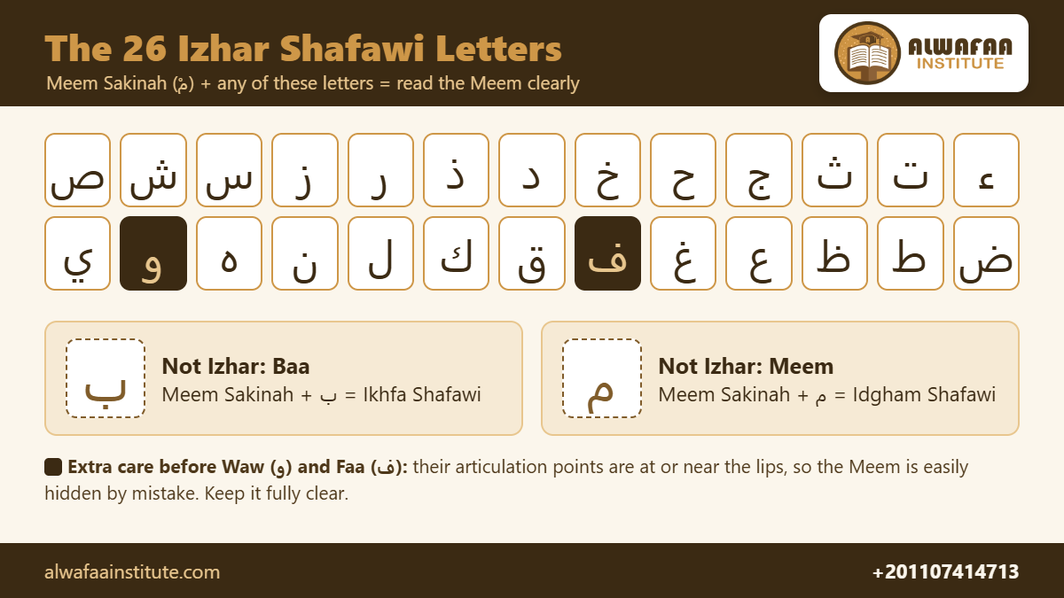 The 26 izhar shafawi letters, with Baa and Meem shown as the two exceptions